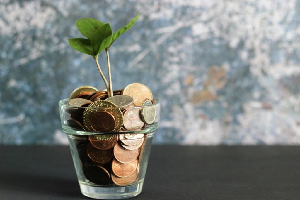 money-flower-pot-growth